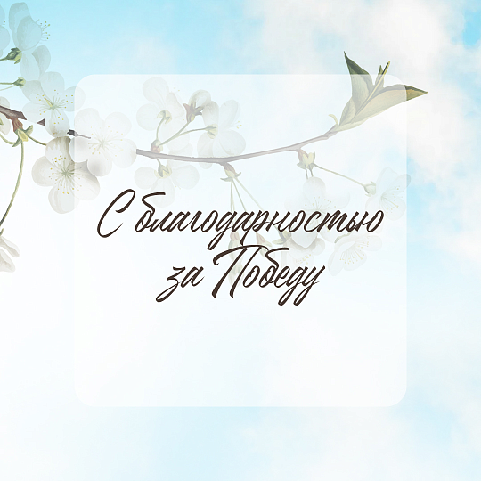 Акция «С благодарностью за Победу»