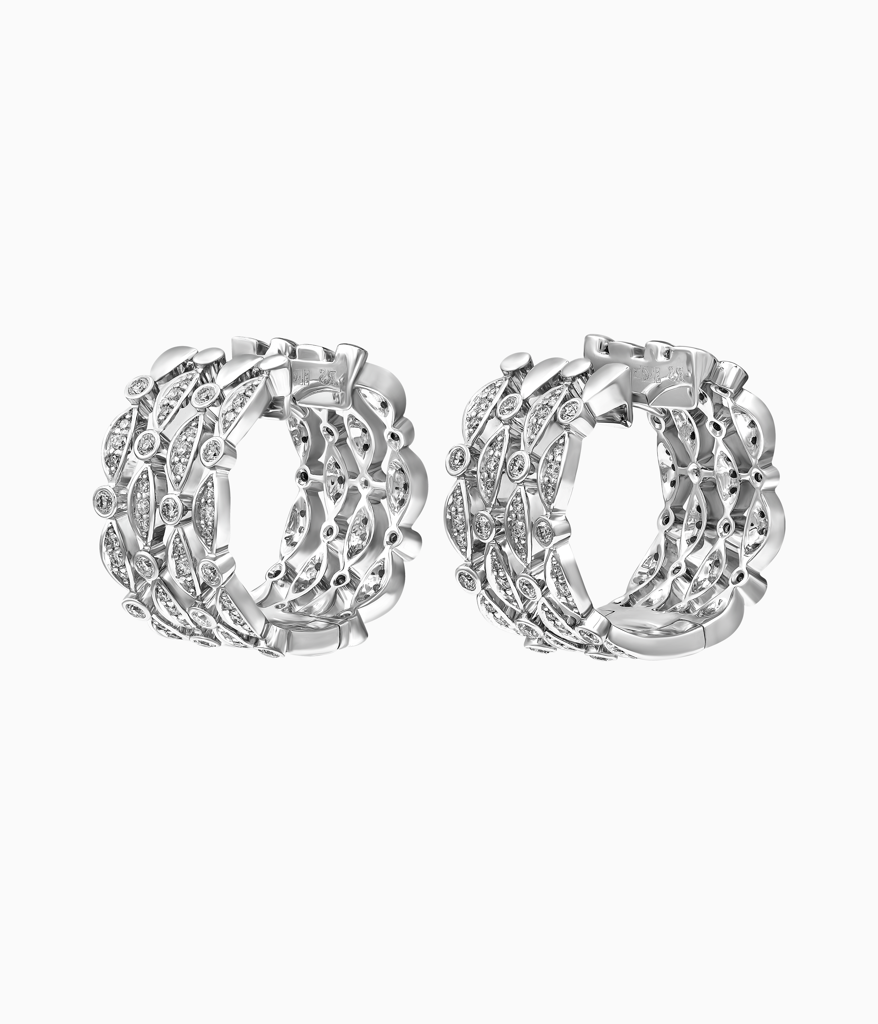 Картинка гербария